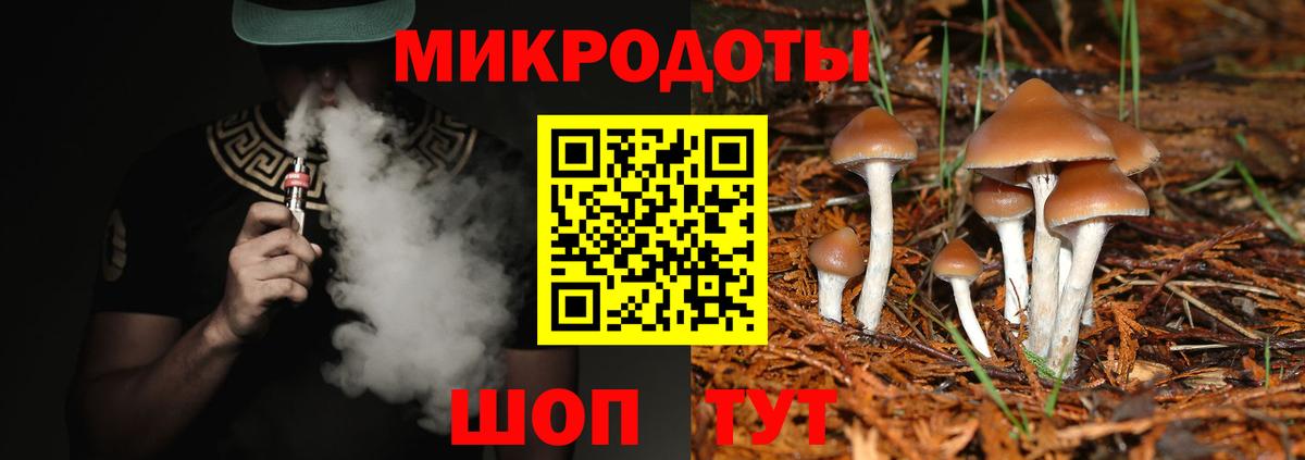 Когалым  Галлюциногенные грибы мицелий  Вход с VPN 